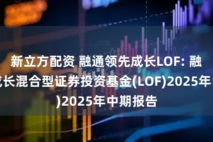 新立方配资 融通领先成长LOF: 融通领先成长混合型证券投资基金(LOF)2025年中期报告