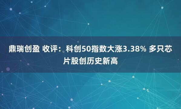 鼎瑞创盈 收评：科创50指数大涨3.38% 多只芯片股创历史新高