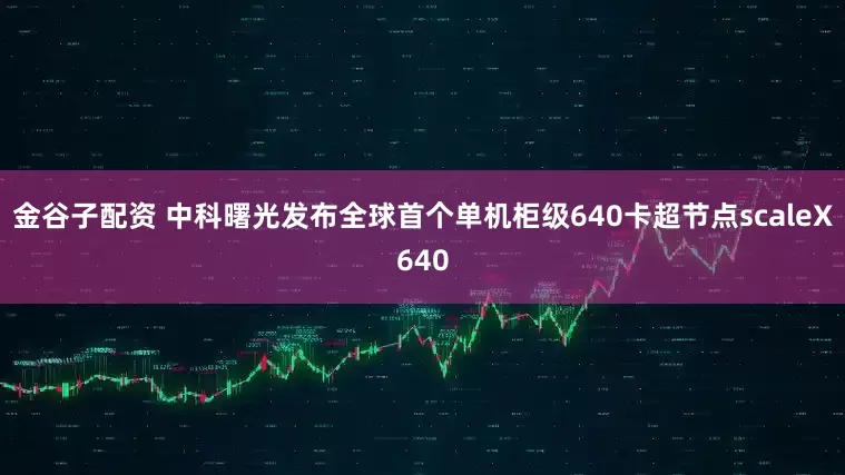 金谷子配资 中科曙光发布全球首个单机柜级640卡超节点scaleX640